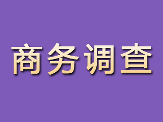 鄂温克族旗商务调查